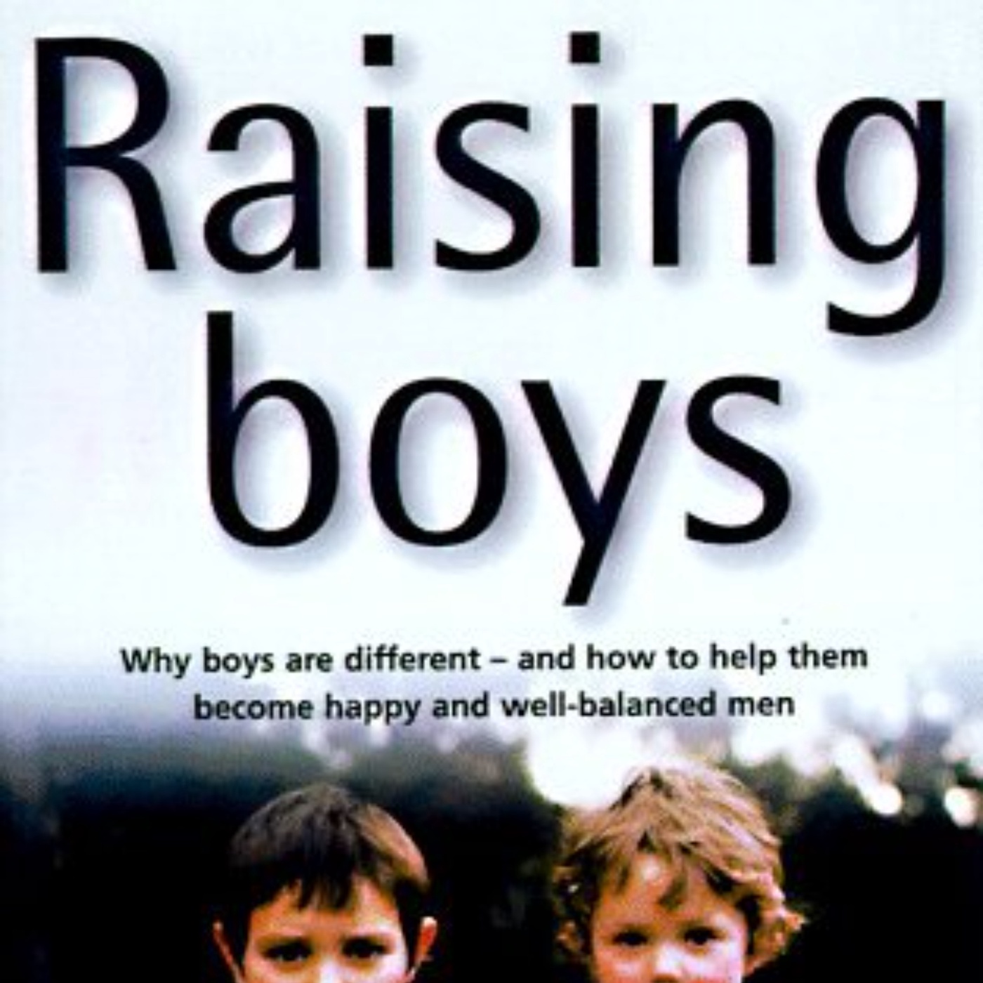 Raising Boys: A Comprehensive Summary of Steve Biddulph's Insights