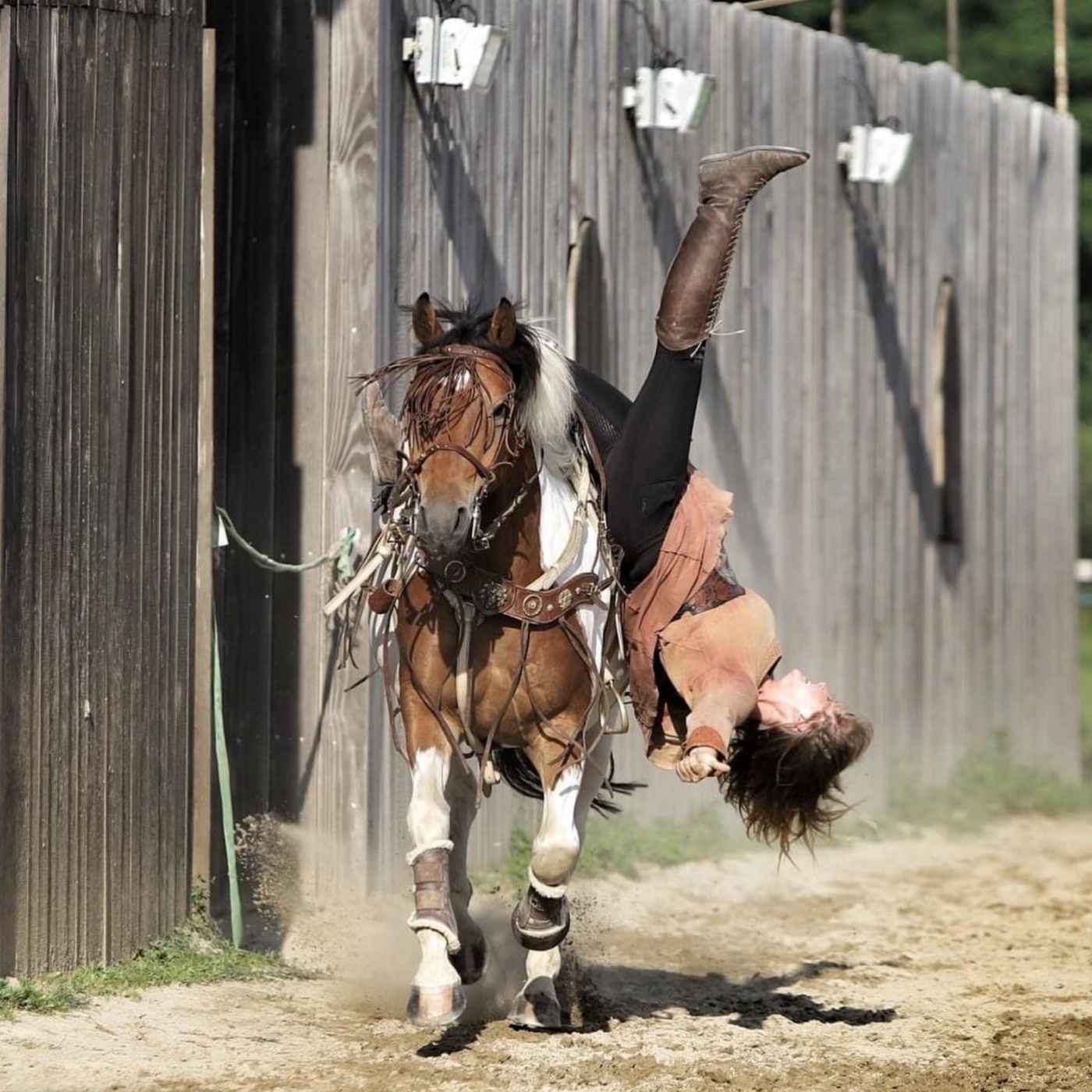 Rückenfittes Pferd? So gehts!