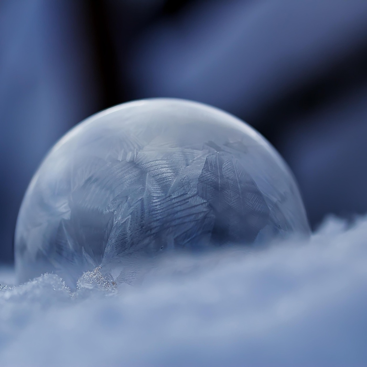 Die Liebe und das Leben Teil_2 