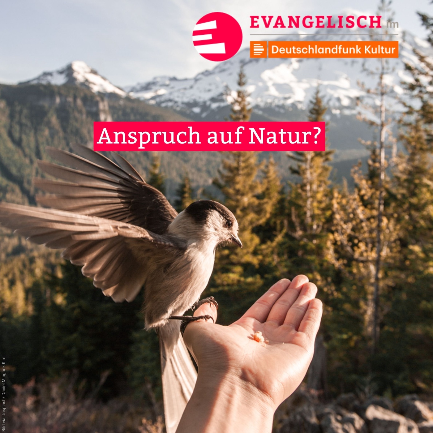 Anspruch auf Natur