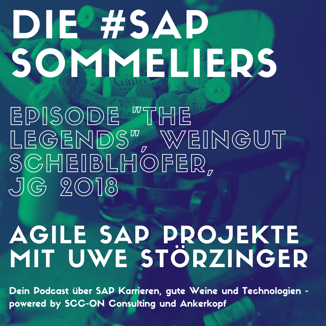#10 Best Practice vs. kundenspezifische Prozesse -  Uwe Störzinger drüber wie Projekte schneller und flexibler werden
