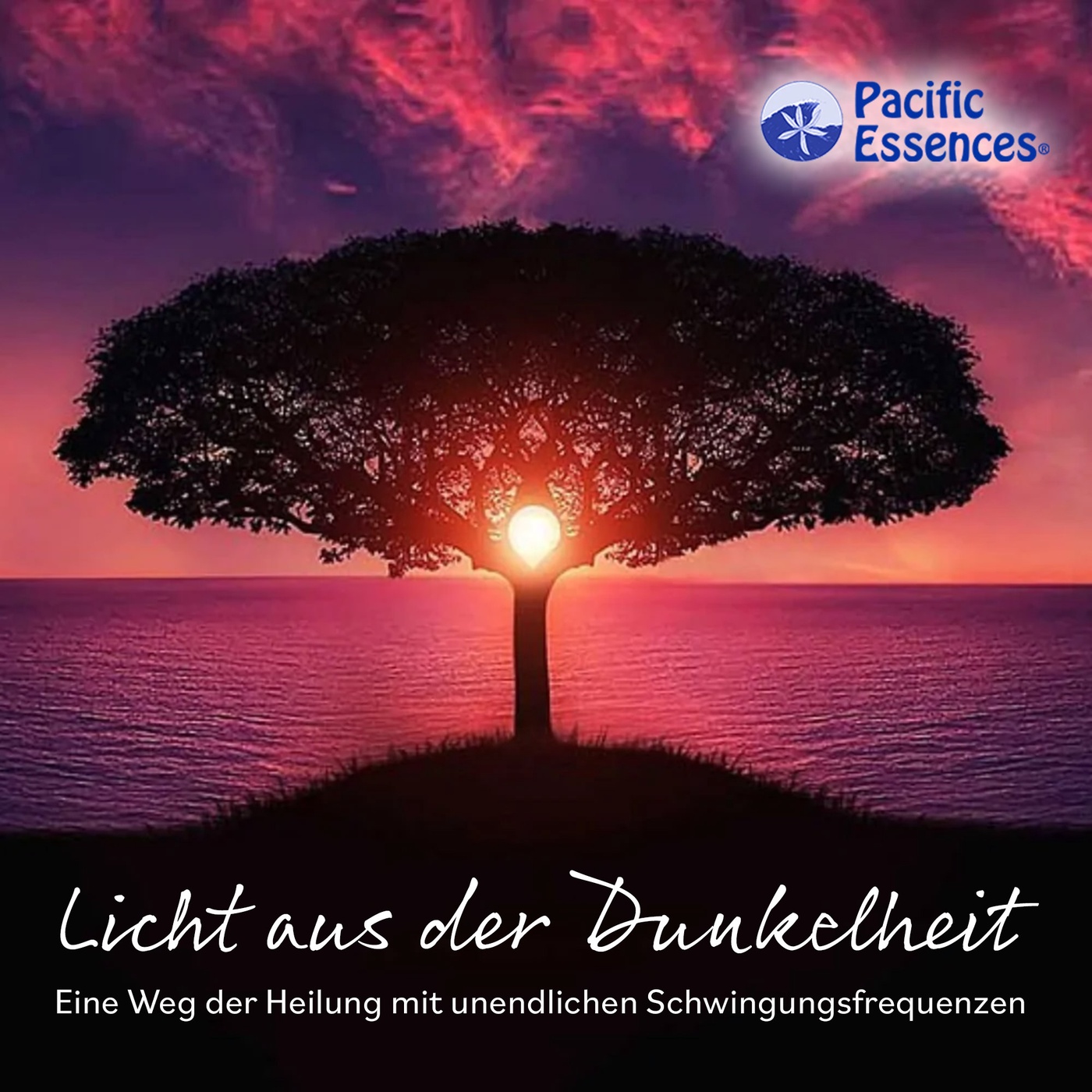 Licht aus der Dunkelheit