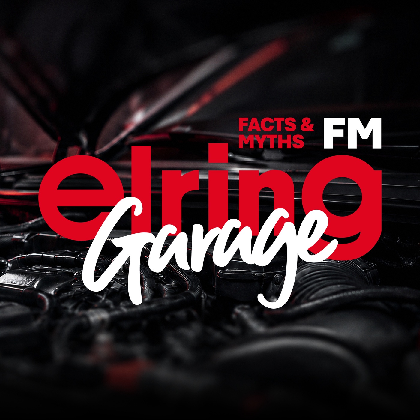 Elring Garage FM - Facts & Myths