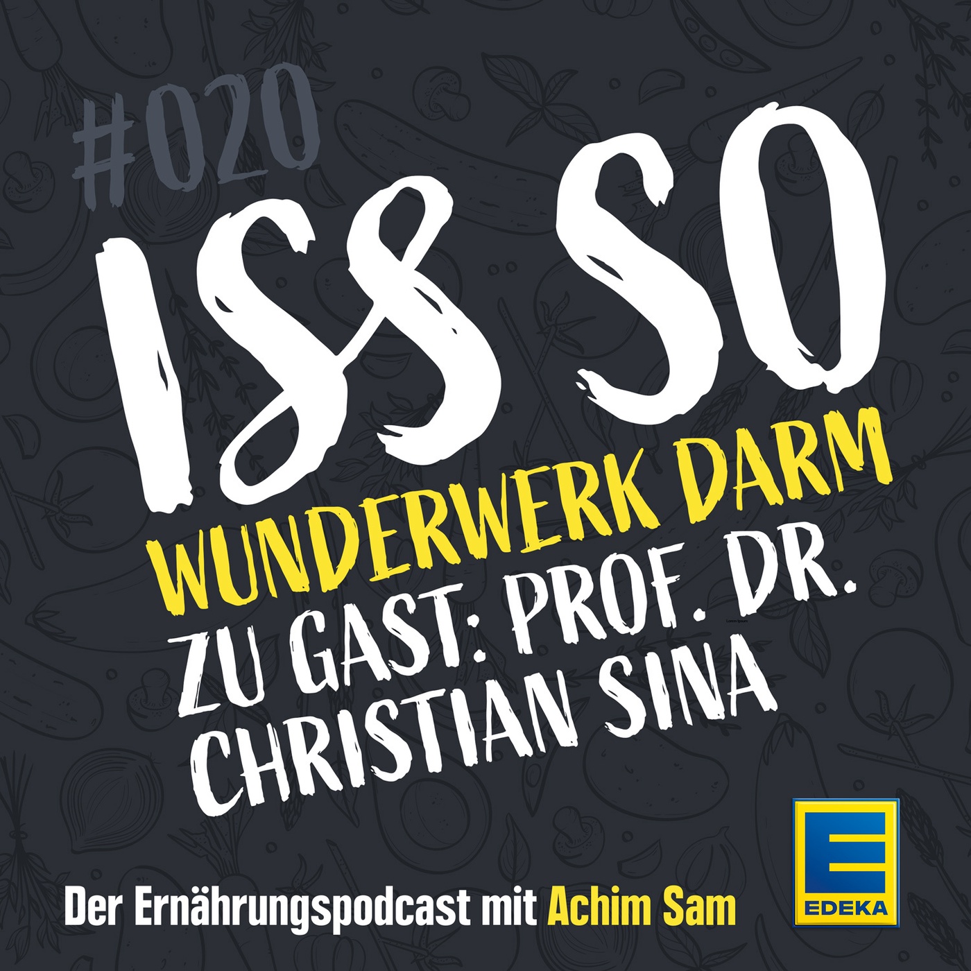 20: Wunderwerk Darm – Gesunde Darmflora, gesunder Körper – Zu Gast: Prof. Dr. Christian Sina