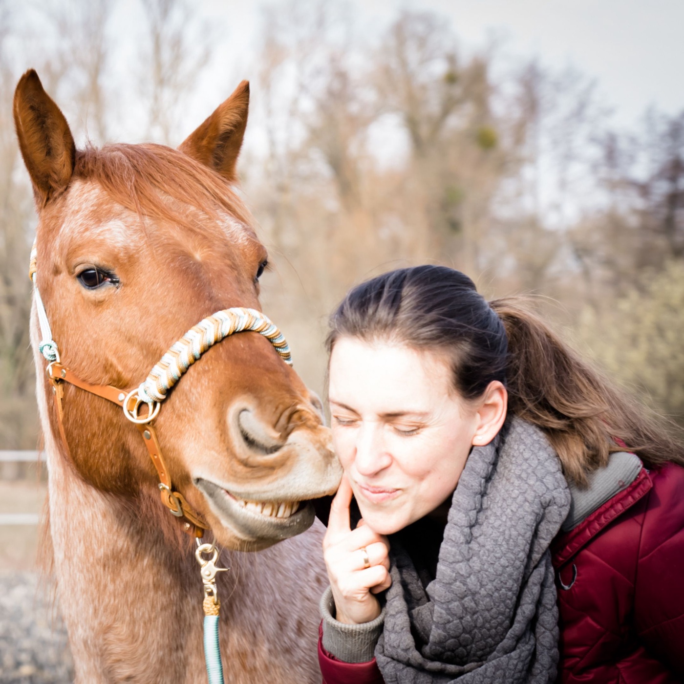 Für mehr Liebe in der Pferdewelt