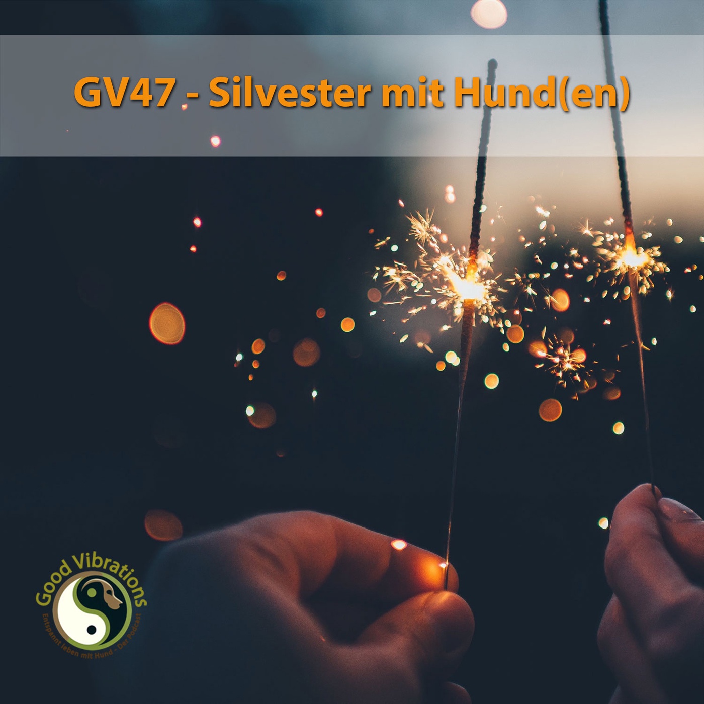 GV 47_Silvester