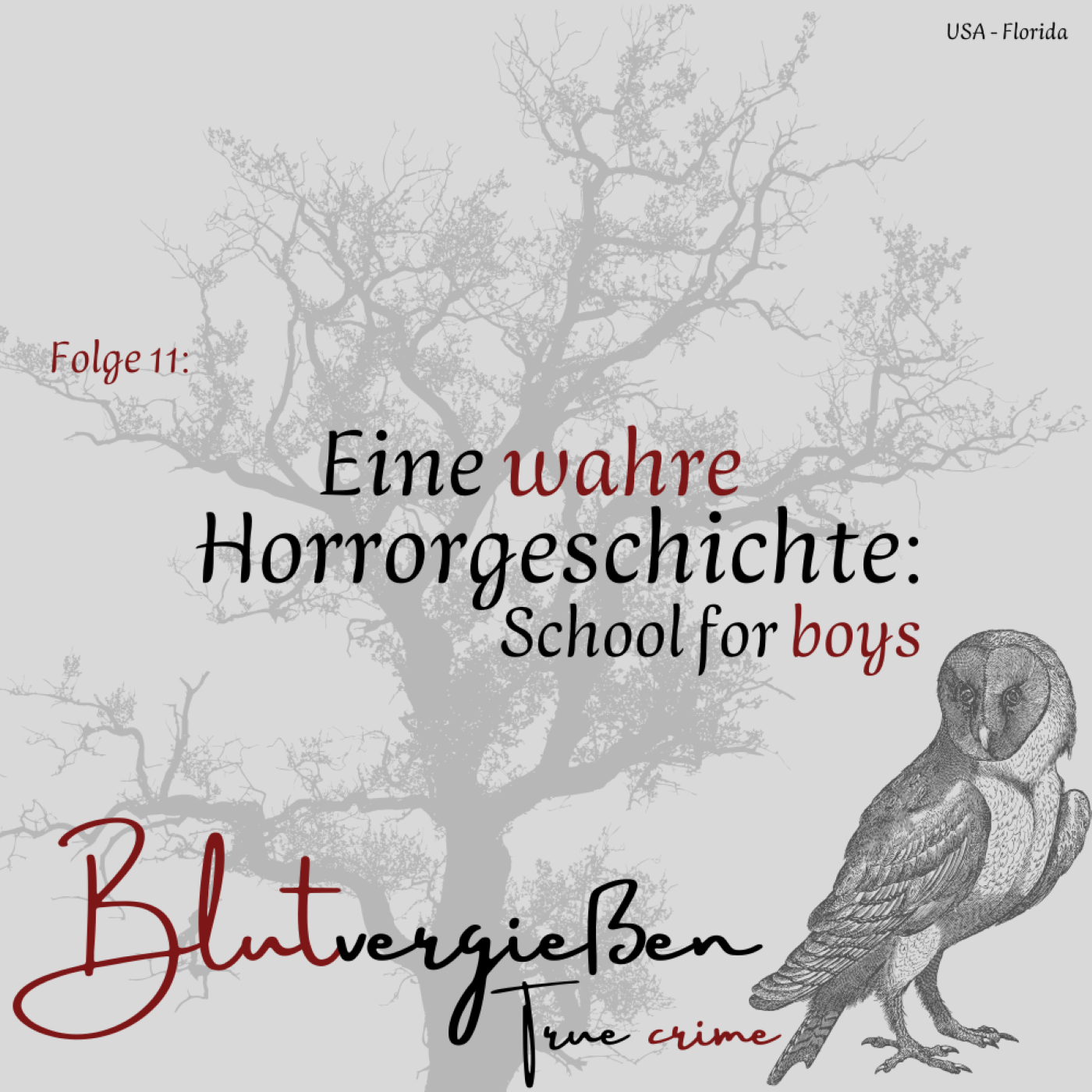 #11 Eine wahre Horrorgeschichte - School for boys