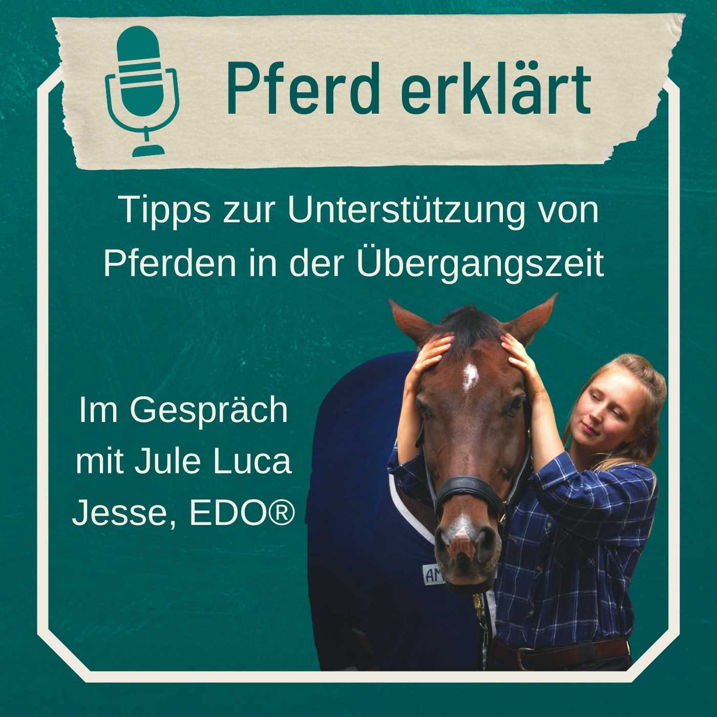 Pferde in der Übergangszeit unterstützen: Im Gespräch mit Pferdeosteopathin (EDO) Jule Luca Jesse