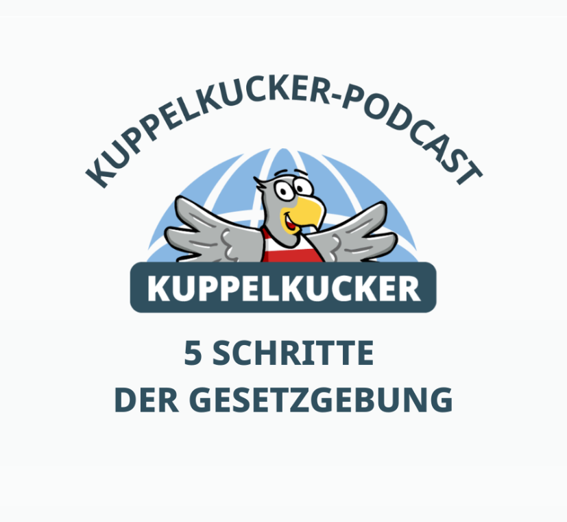 5 Schritte der Gesetzgebung