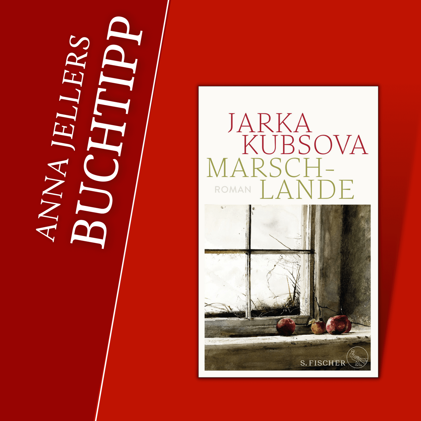 Anna Jellers Buchtipp | Jarka Kubsova: Marschlande