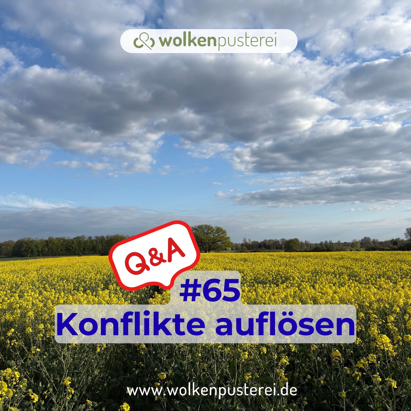 #65 Q&A Konflikte auflösen