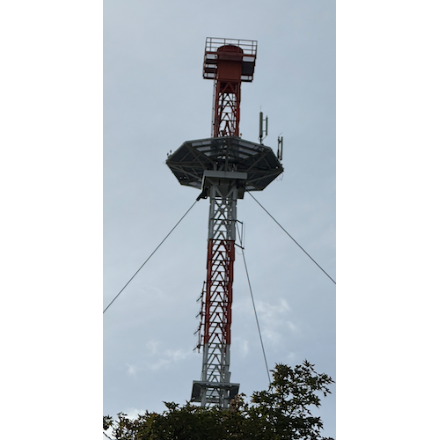 Zwischen Mut, Mantel und Meschhed: Meine Iranreise