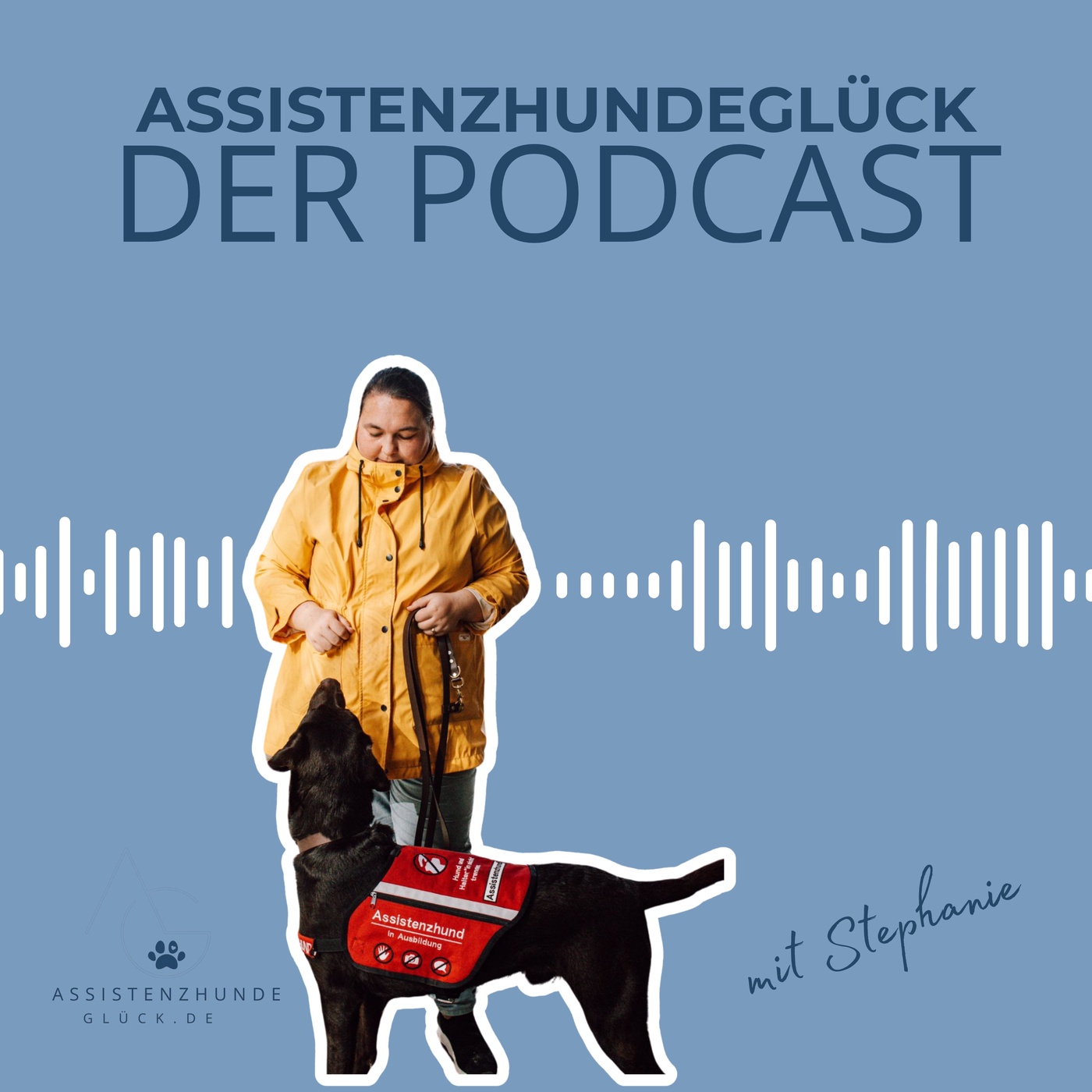Folge 1 - Ist ein Assistenzhund das Richtige für mich?
