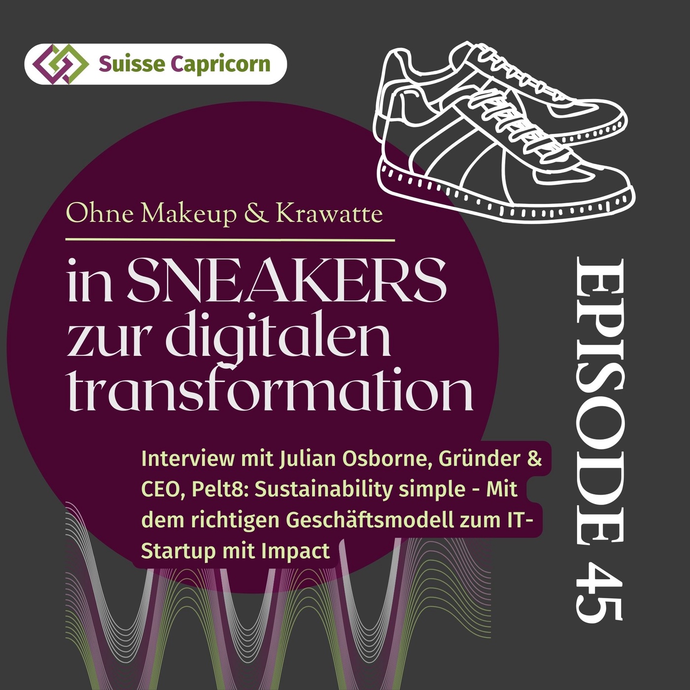 45 - Interview mit Julian Osborne, Gründer & CEO, Pelt8 - Sustainability simple