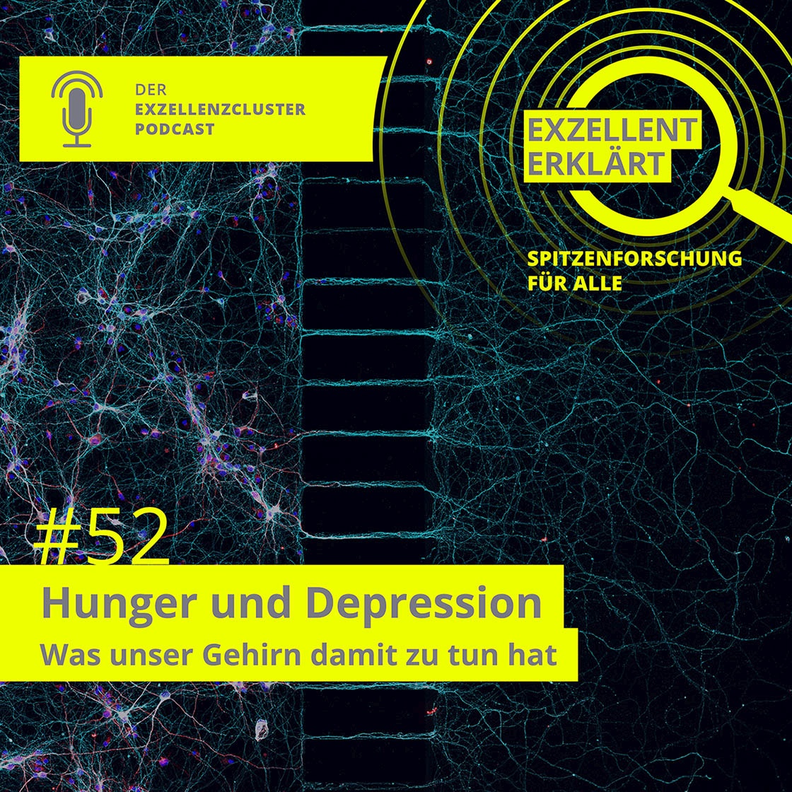 Hunger und Depression - Was unser Gehirn damit zu tun hat