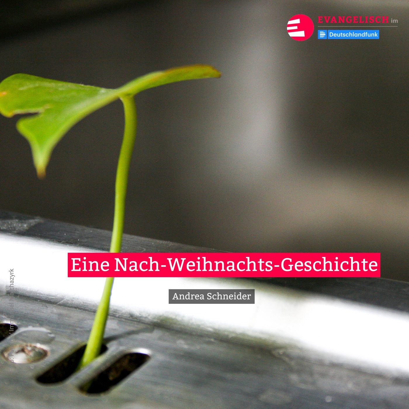 Eine Nach-Weihnachtsgeschichte