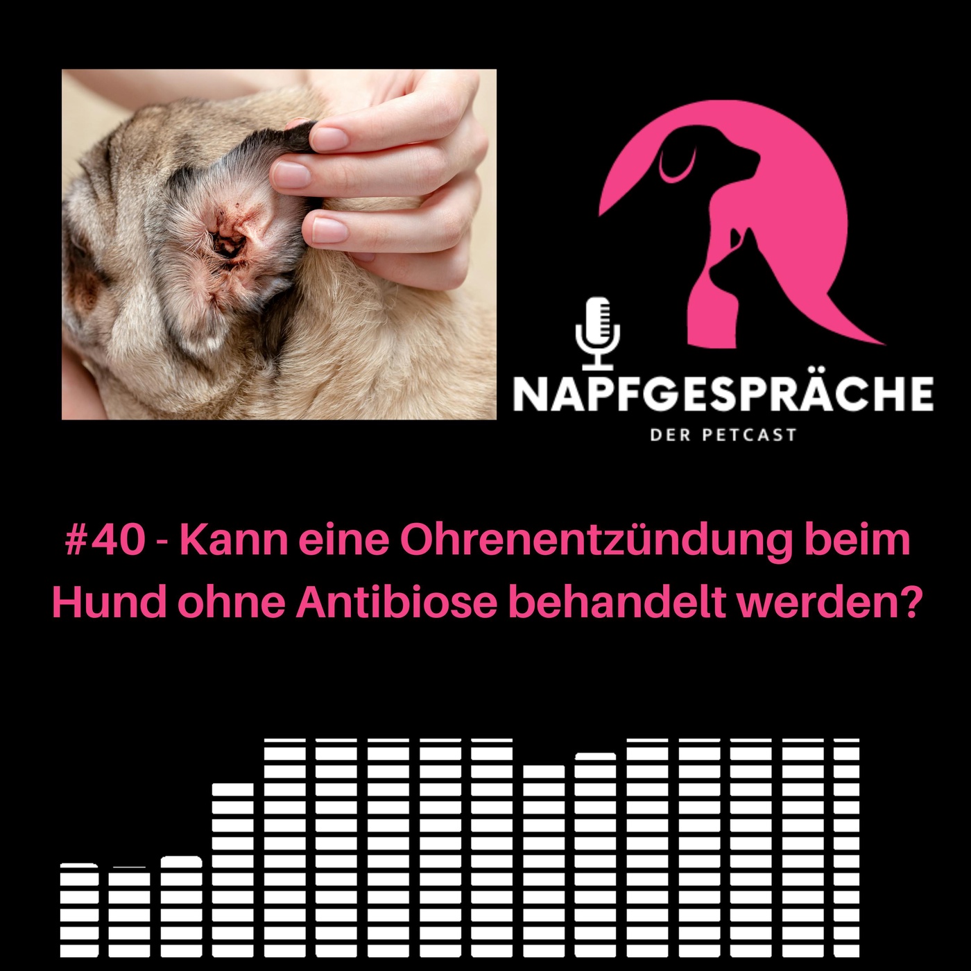 #40 - Kann eine Ohrenentzündung beim Hund ohne Antibiose behandelt werden?