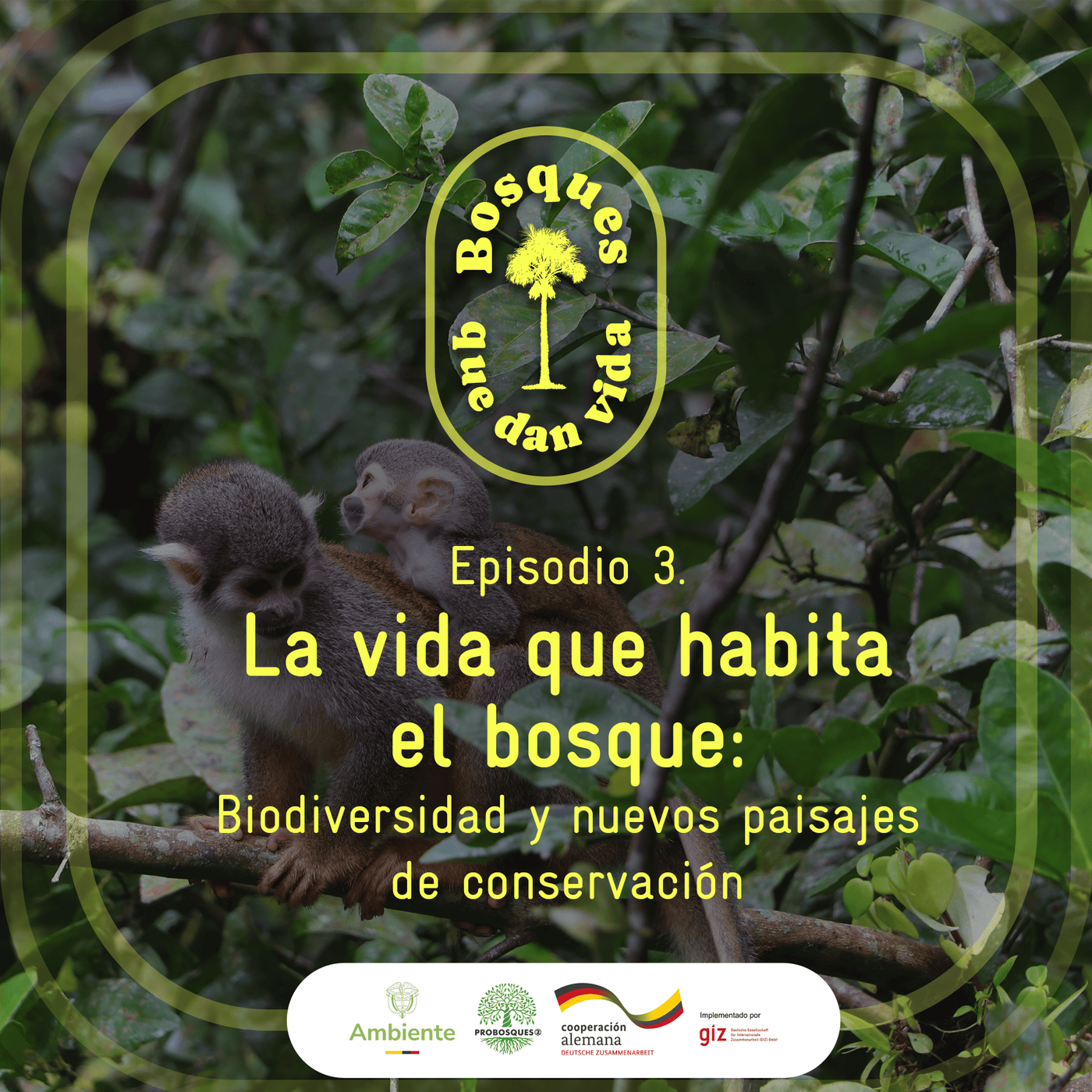 LA VIDA QUE HABITA EL BOSQUE