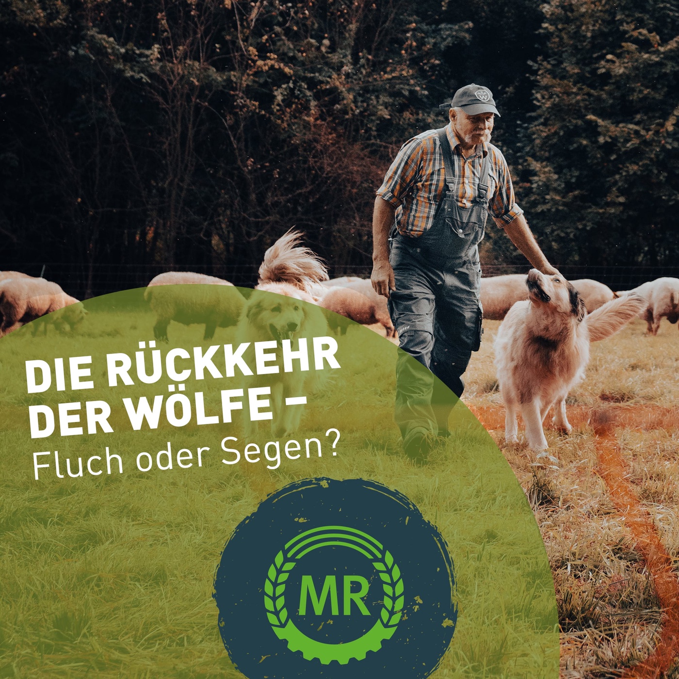 Die Rückkehr der Wölfe - Fluch oder Segen? (Teil 1)