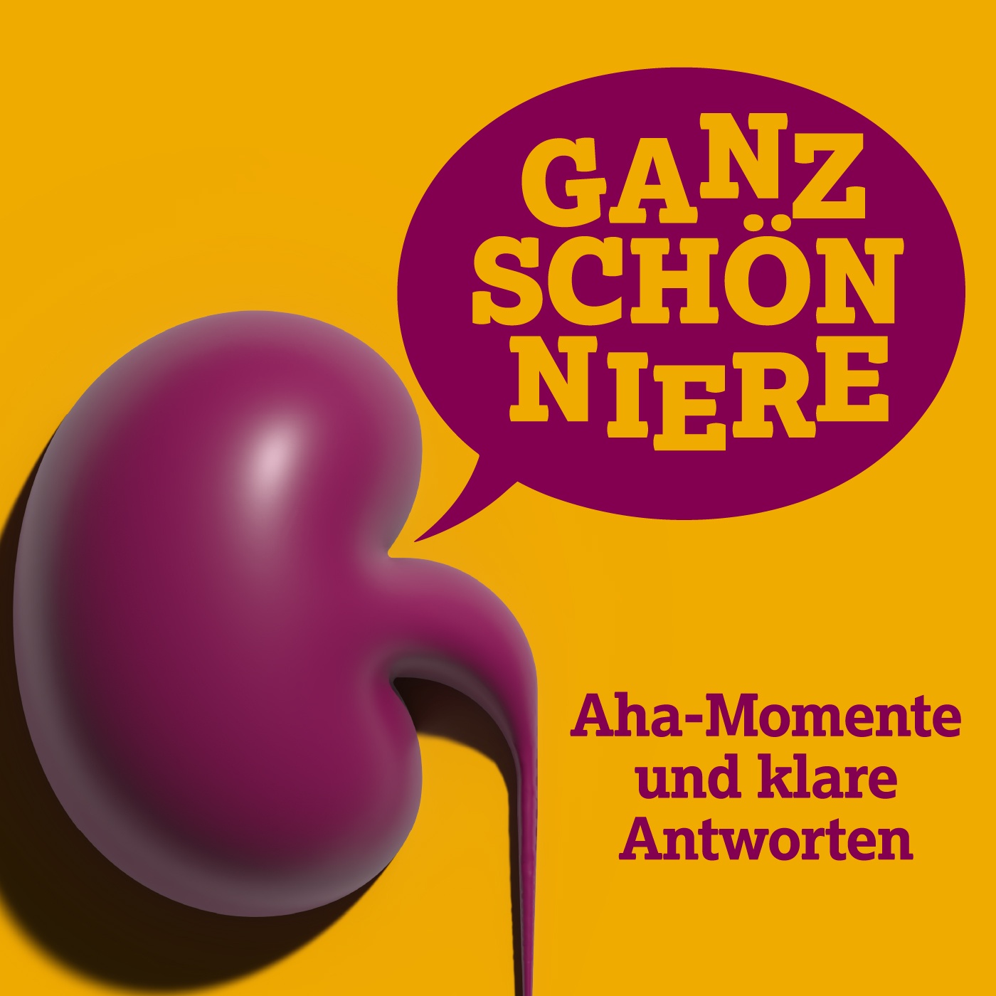 Folge 13: Nierengesundheit in eigener Hand