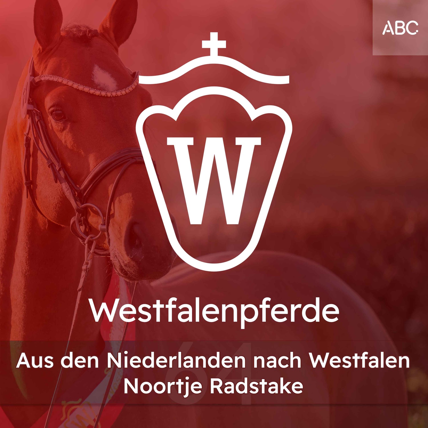 Aus den Niederlanden nach Westfalen