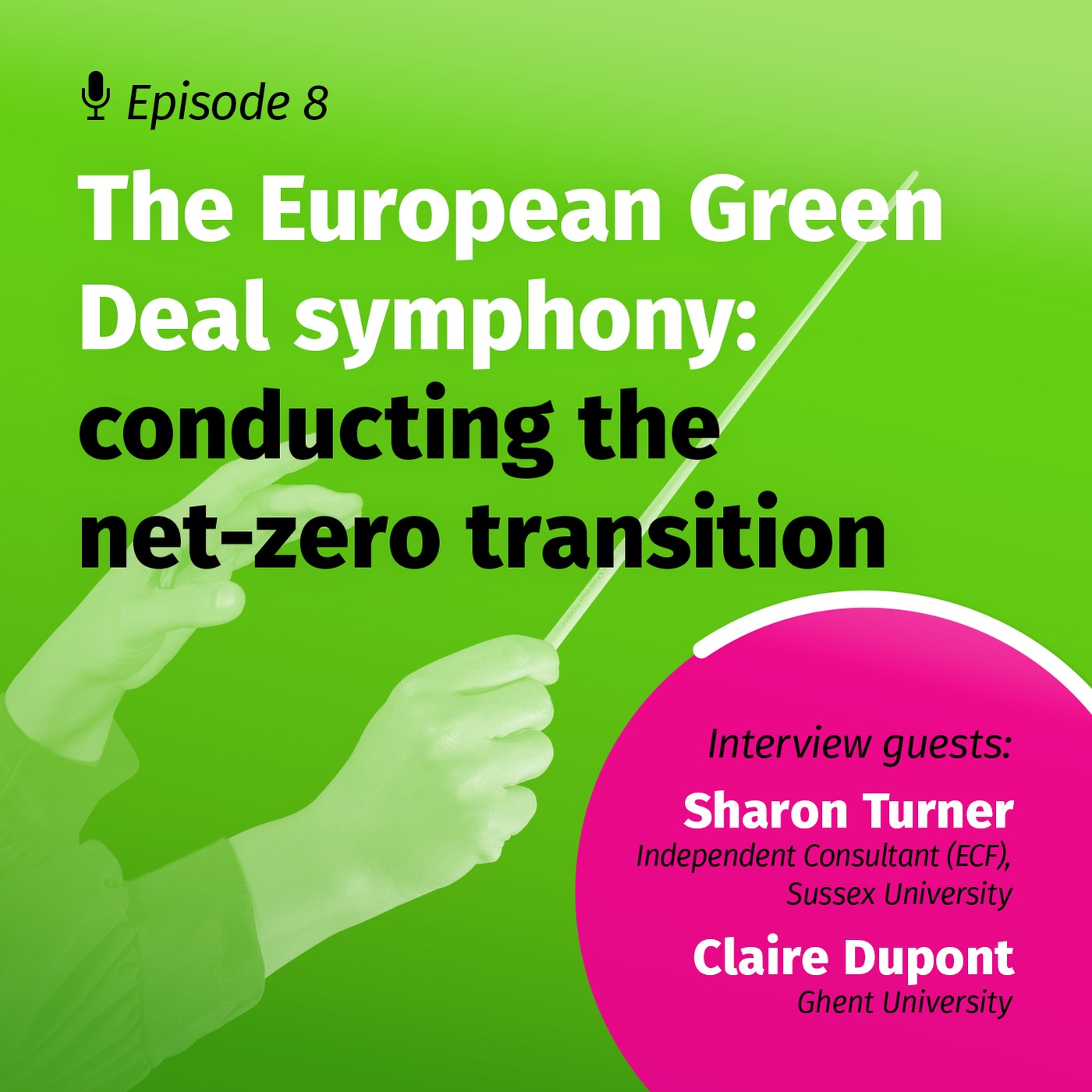 The European Green Deal symphony: conducting the net-zero transition