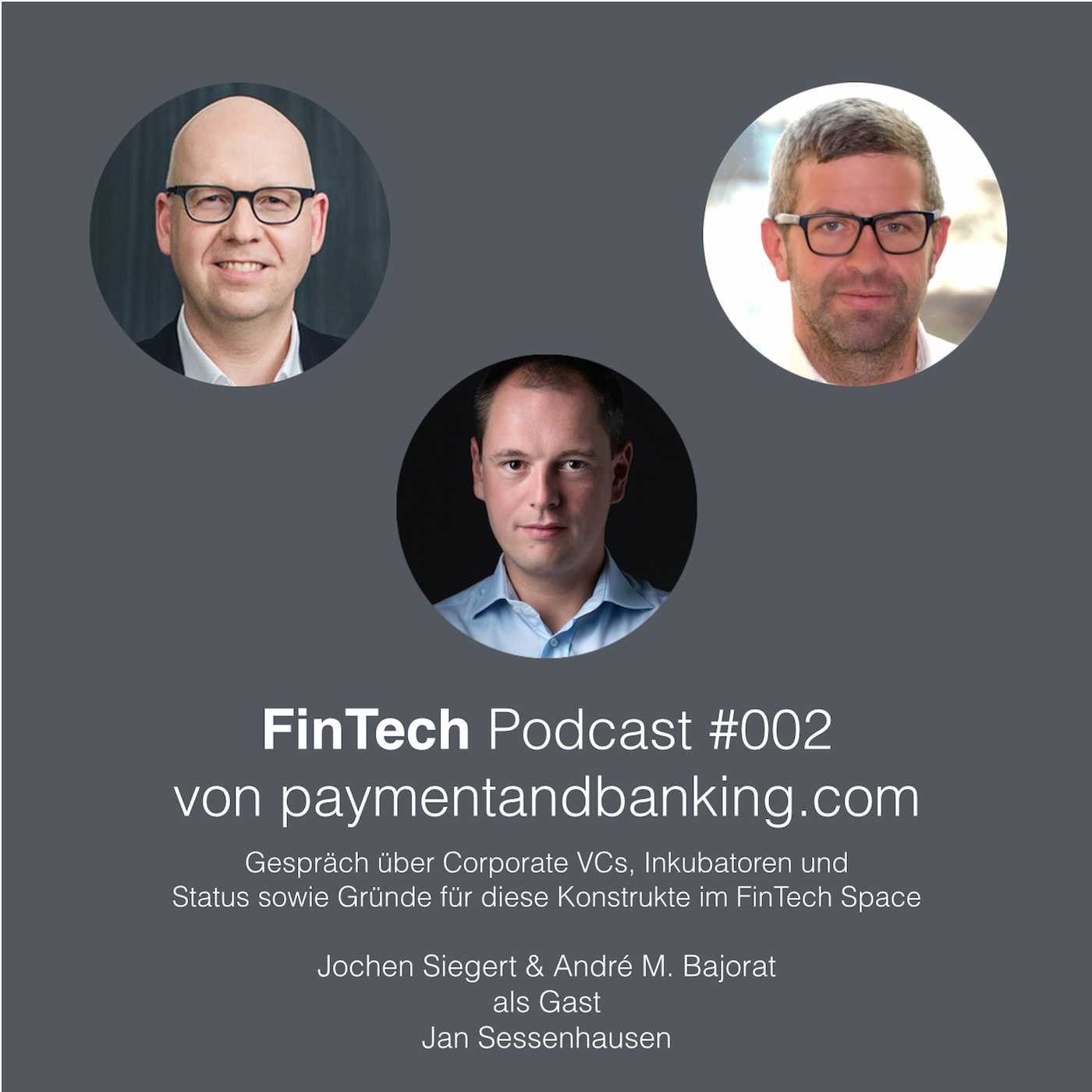 FinTech Podcast #002 - Corporate VCs, Inkubatoren im FinTech Space