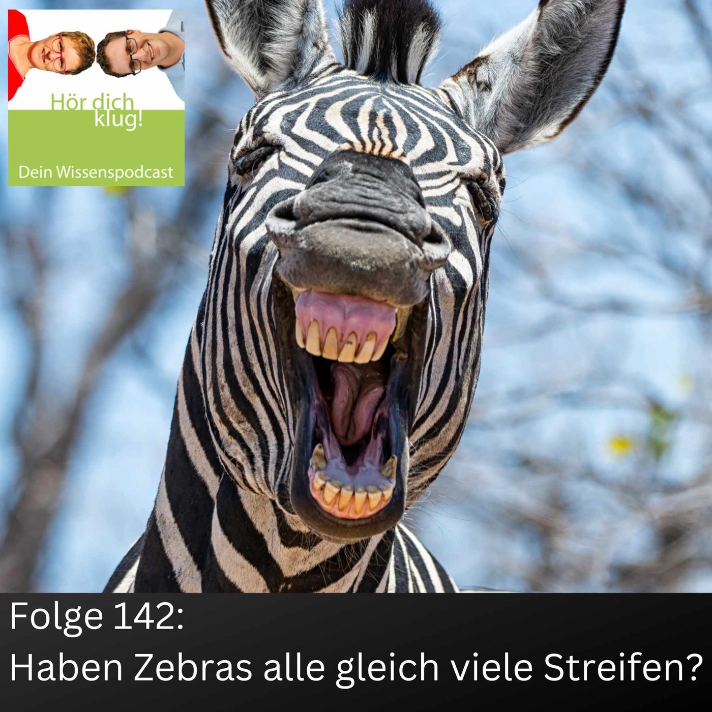 Haben Zebras alle gleich viele Streifen?
