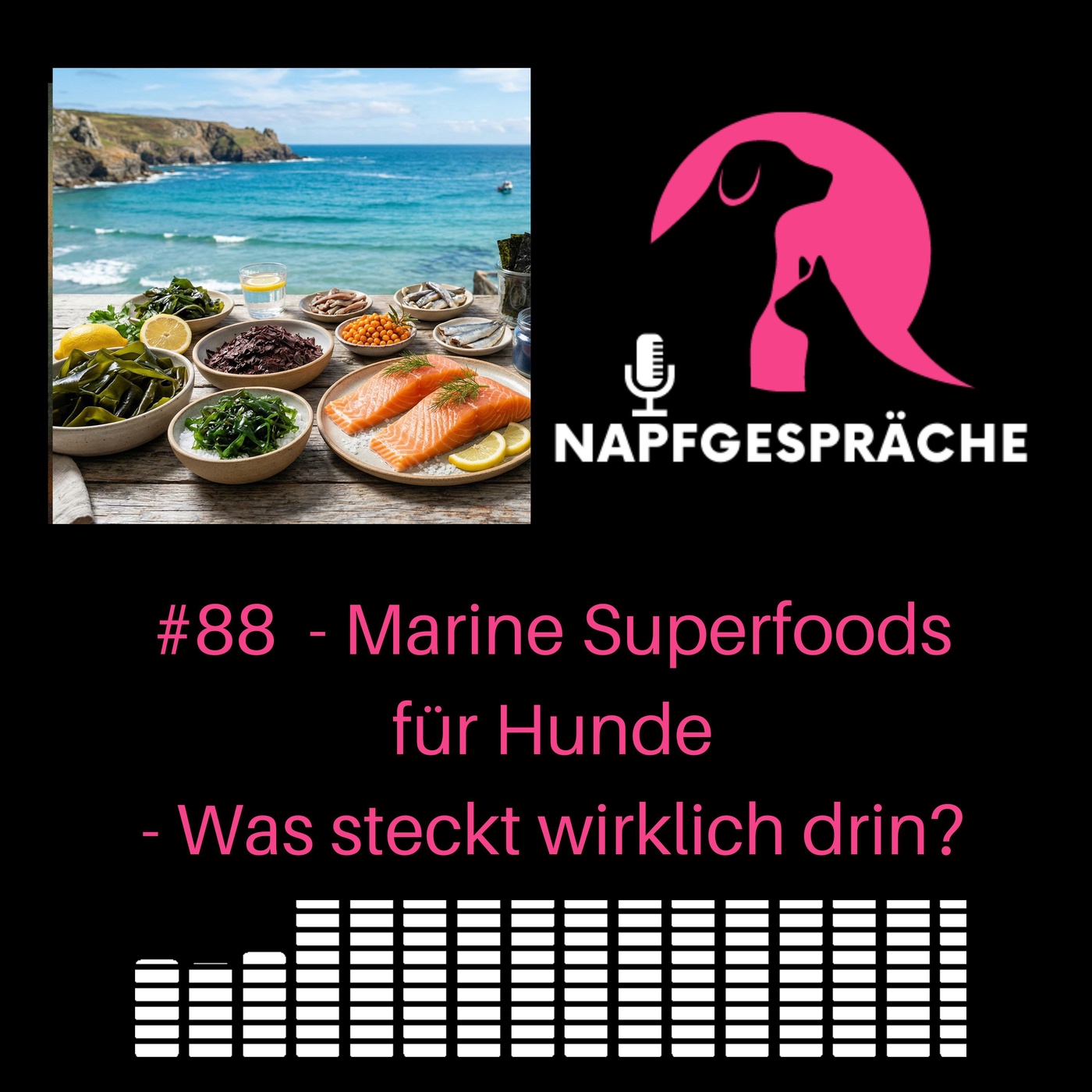 #88 - Marine Superfoods für Hunde - Was steckt wirklich drin?