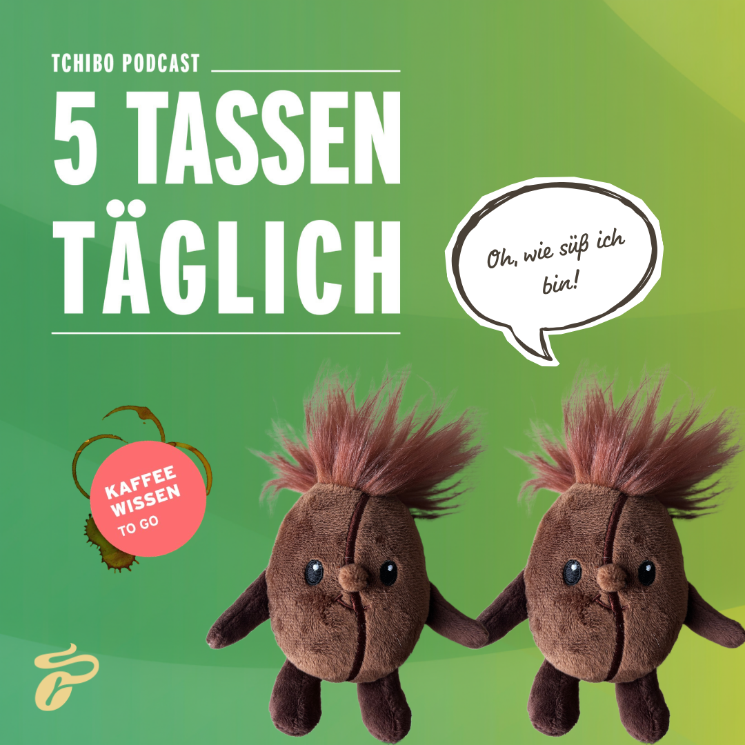 Schmeckst du die Süße in deinem Kaffee – auch ohne Zucker?