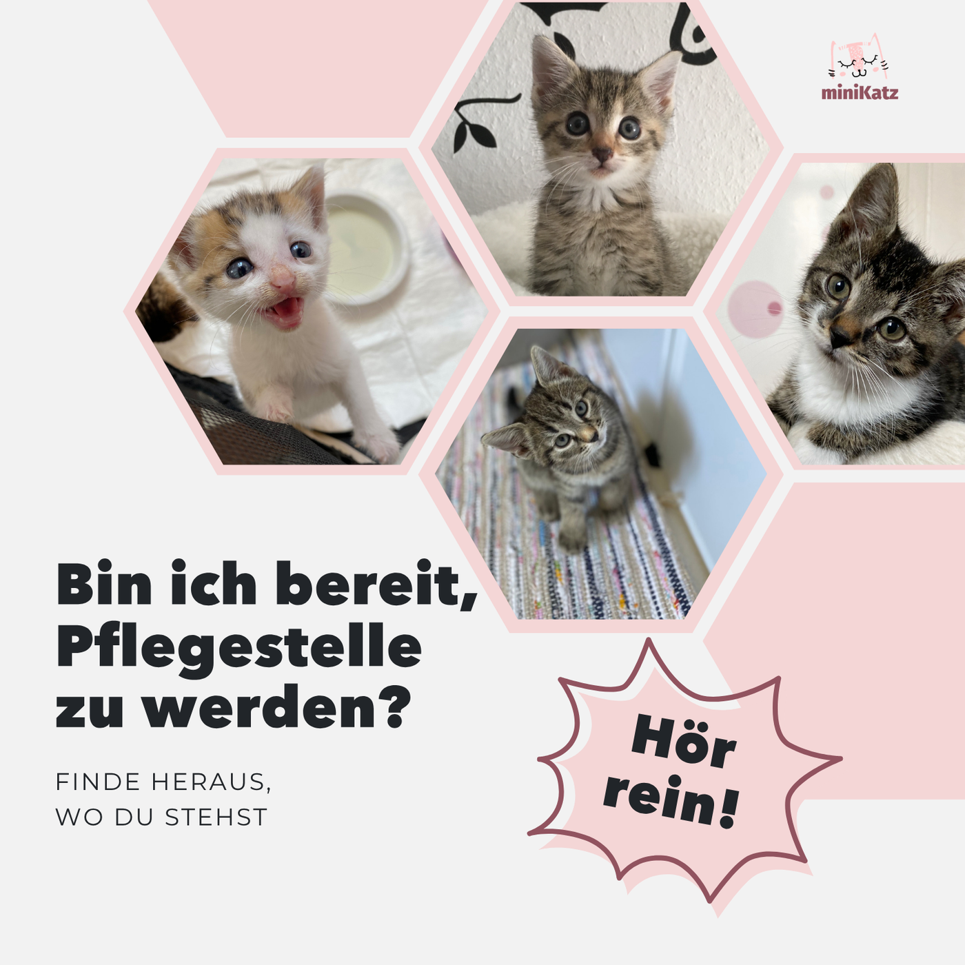 Bin ich bereit, Pflegestelle zu werden?