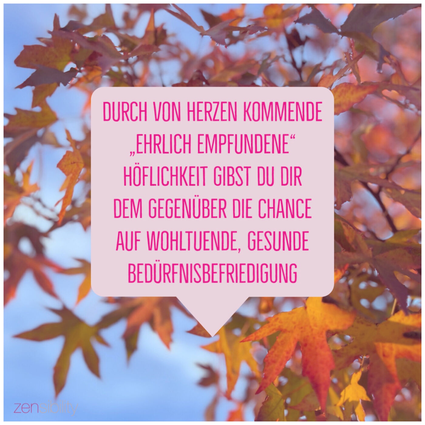 Von missverstandener Höflichkeit