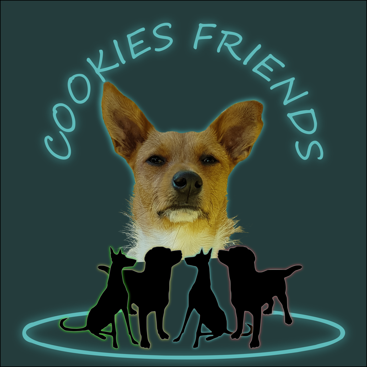 Cookies Friends. Der Podcast für Tierschutz-Hunde