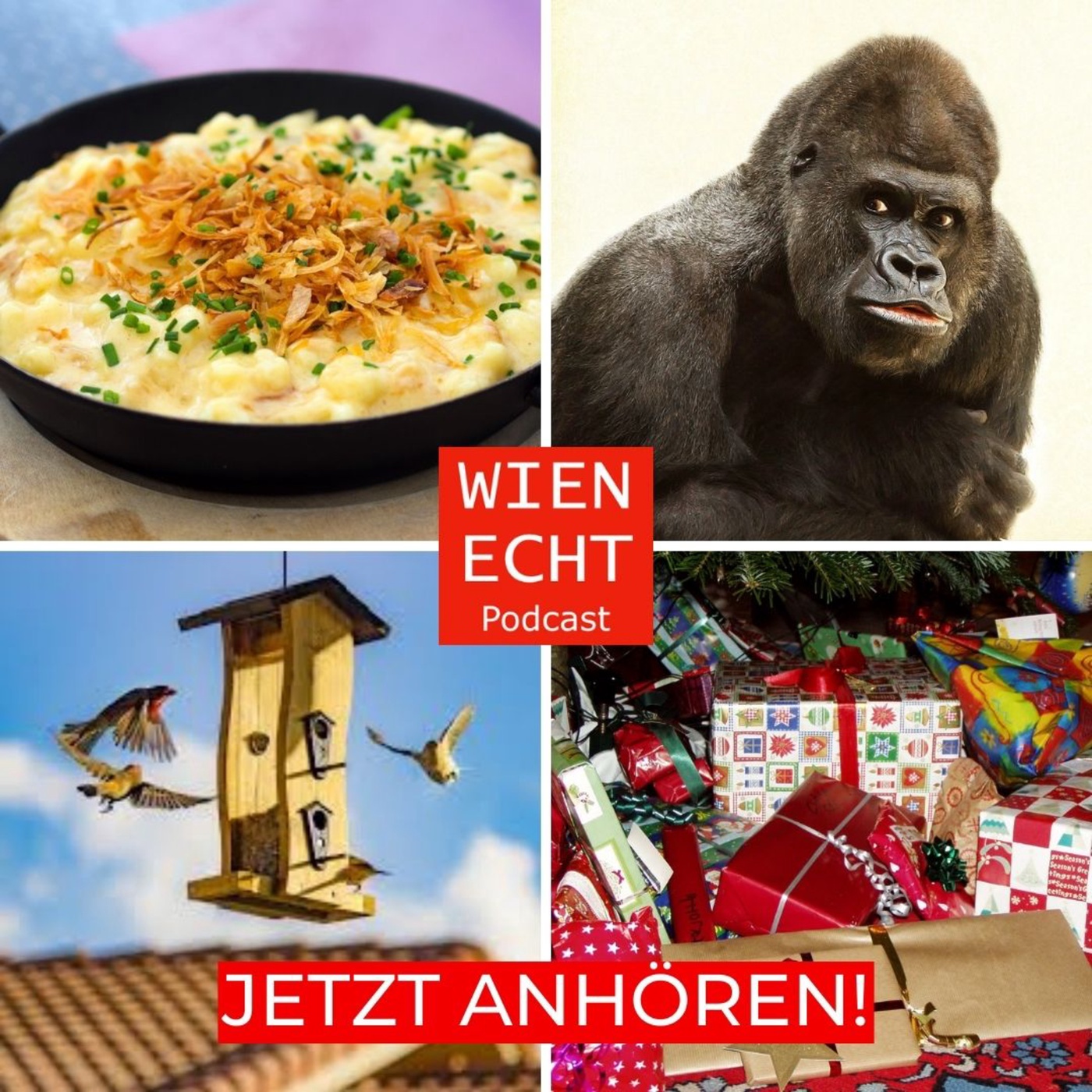 Folge 47 - Weihnachten war gestern und incognito ergo sum.