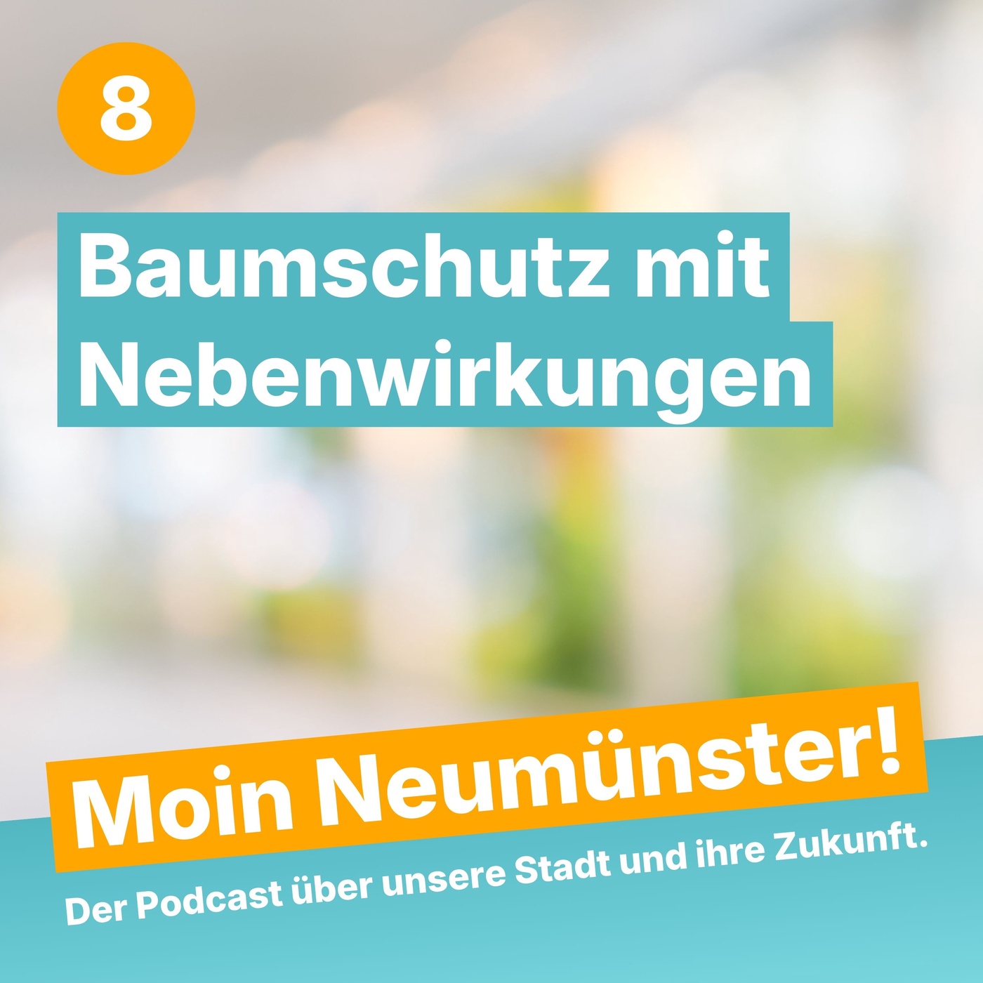 Moin Neumünster (8) – Baumschutz mit Nebenwirkungen