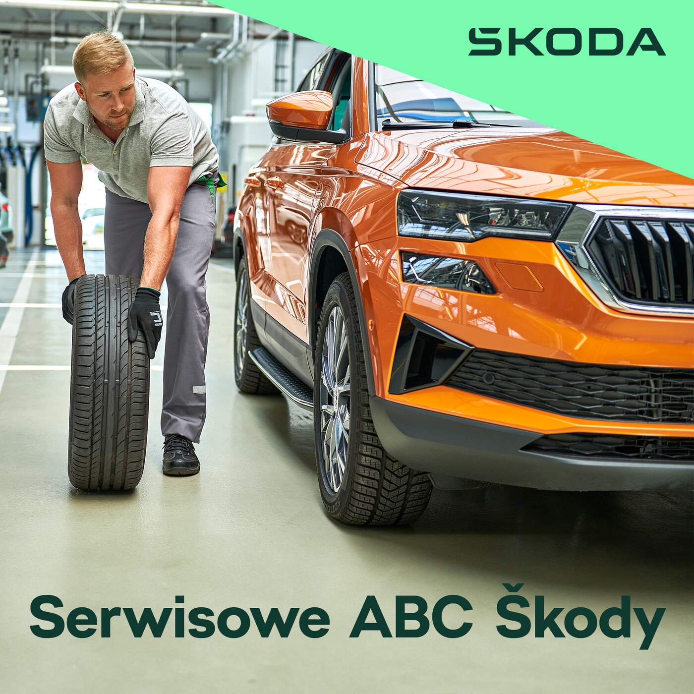 Serwisowe ABC Škody
