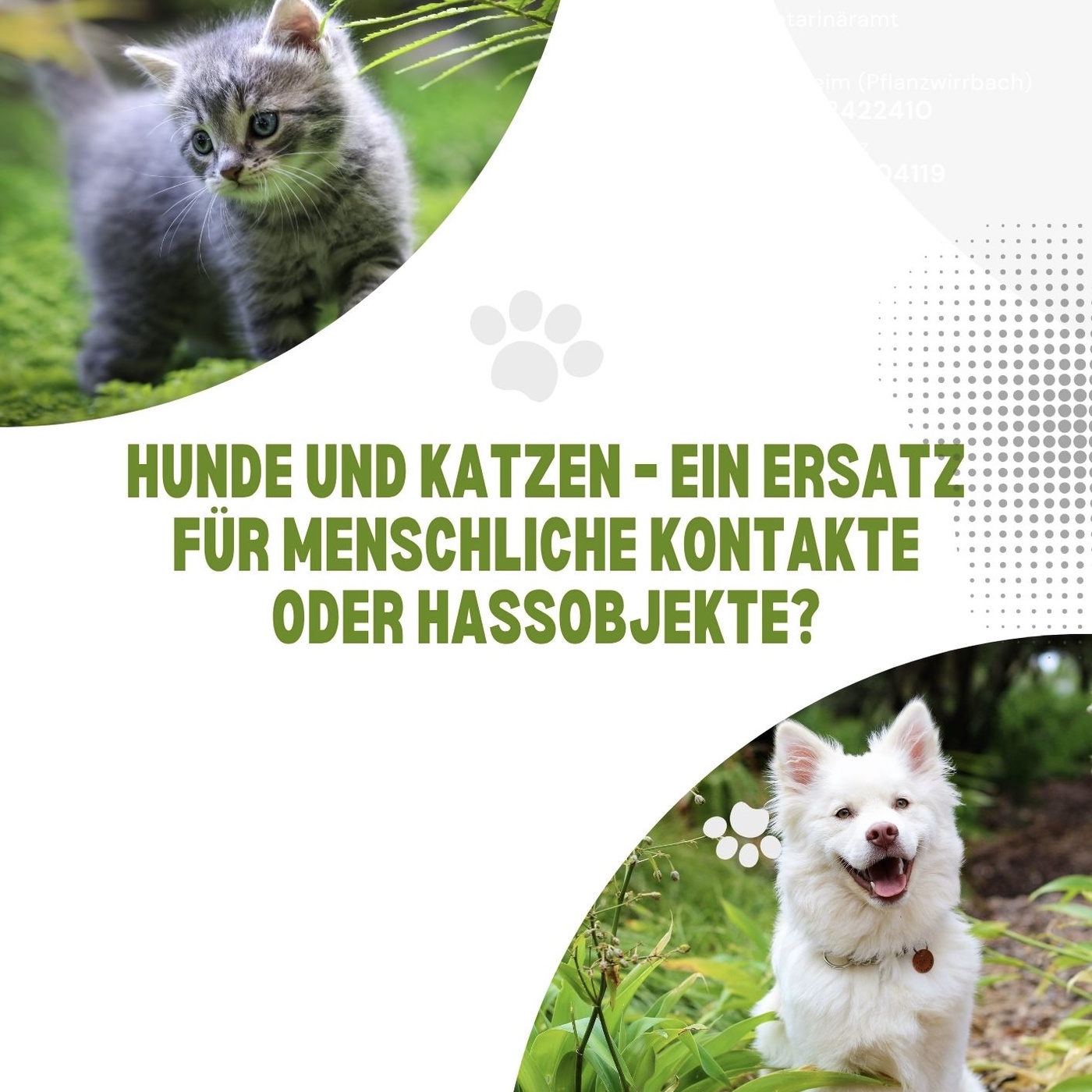 Hunde und Katzen - ein Ersatz für menschliche Kontakte oder 