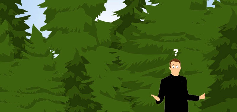 Den Wald vor lauter Bäumen nicht sehen