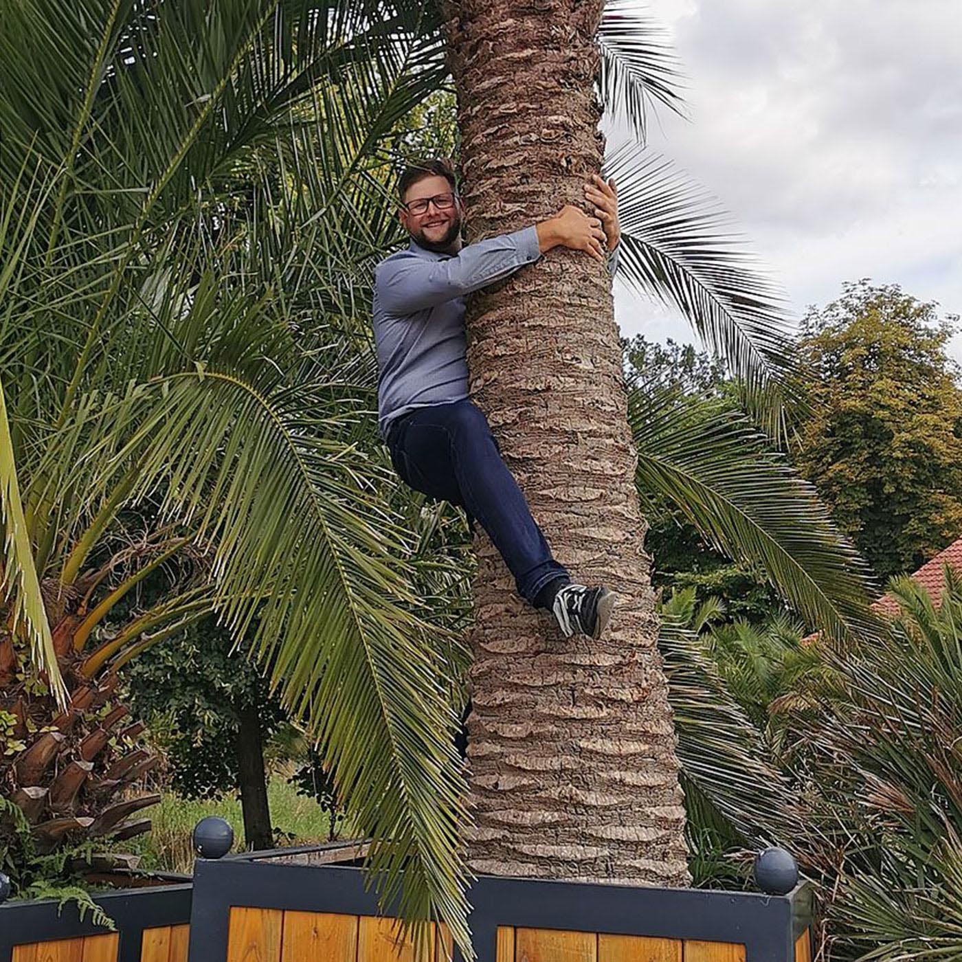 Trailer Auf die Palme gebracht - Pyrmont persönlich