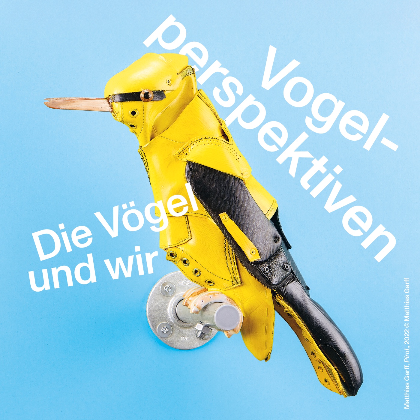 Vogelperspektiven – Wie können wir Tauben mit neuen Augen sehen?