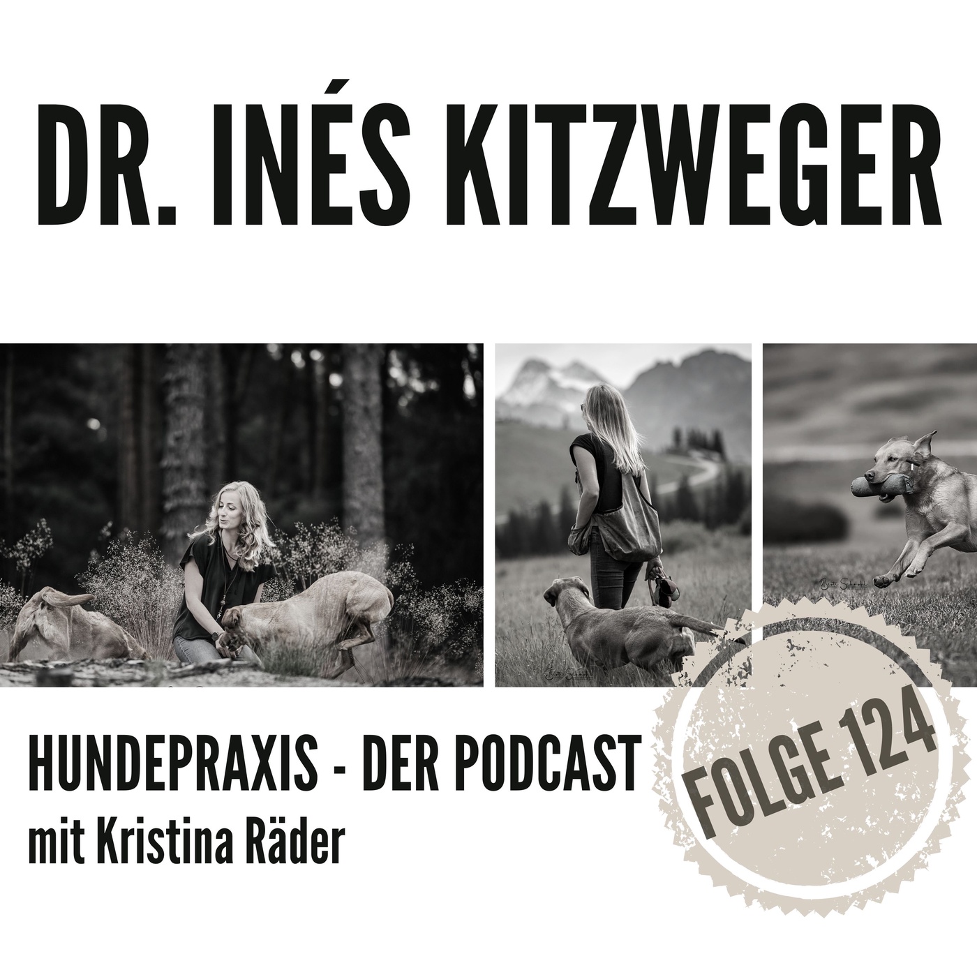 Gesunder Darm - gesunder Hund?!