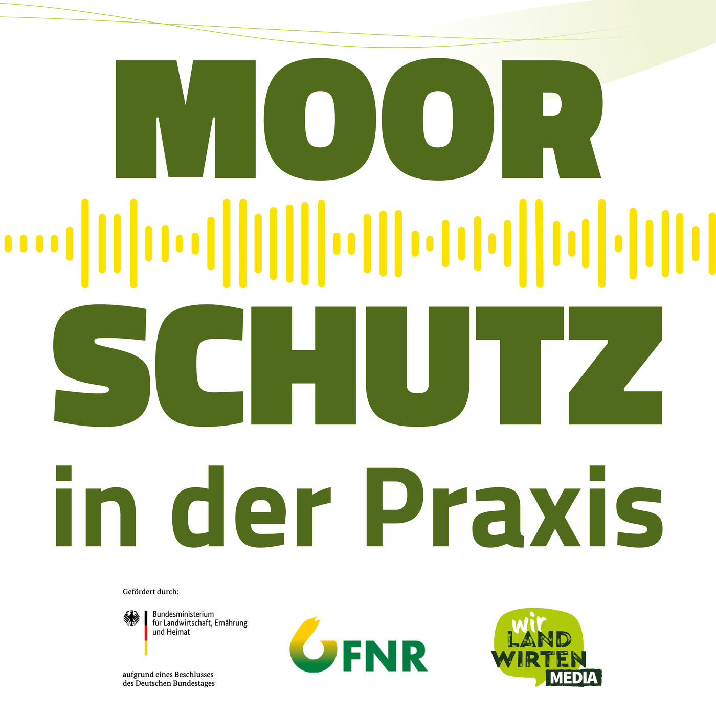 Moorbodenschutz in der Praxis 