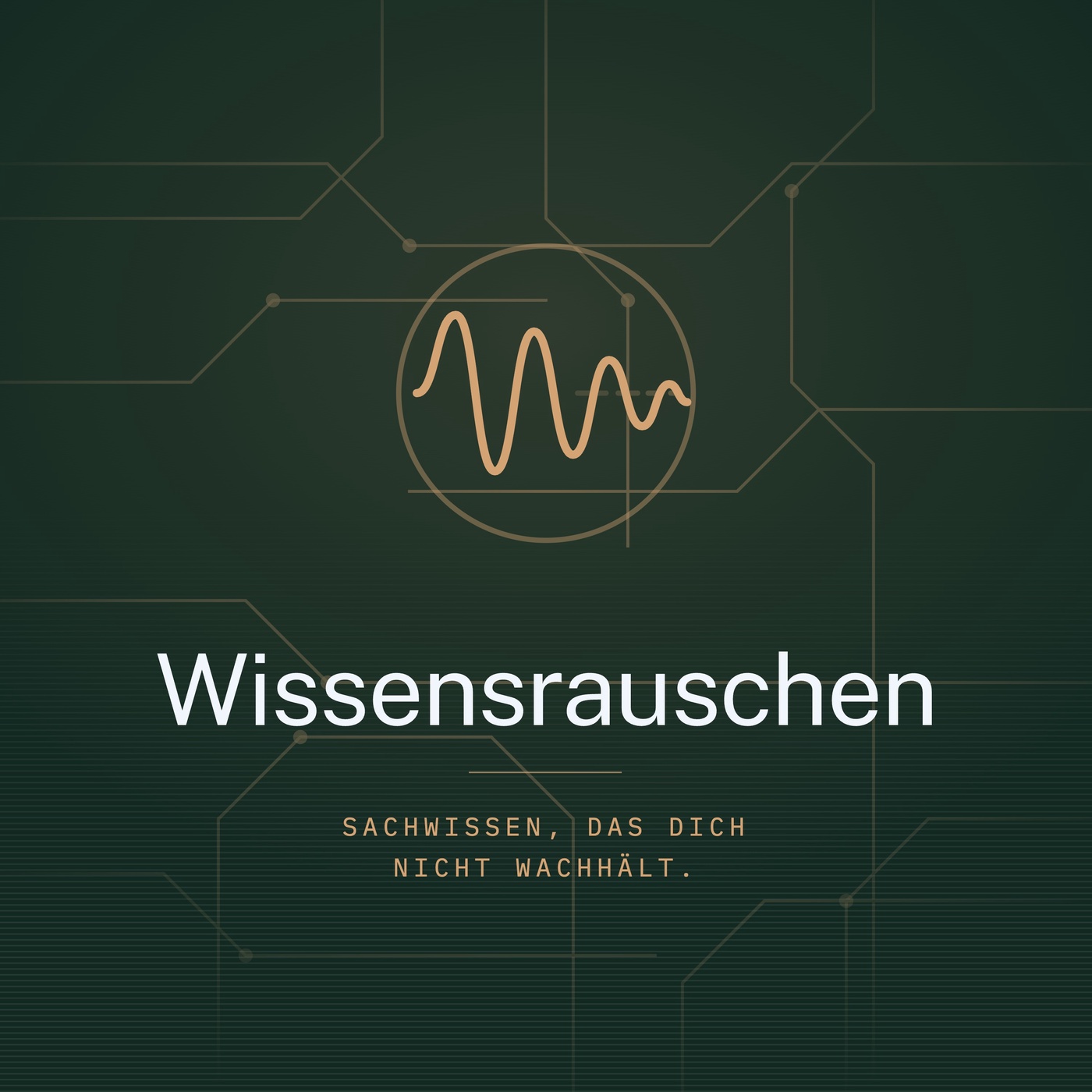 Wissensrauschen – Einschlafen mit Sachwissen