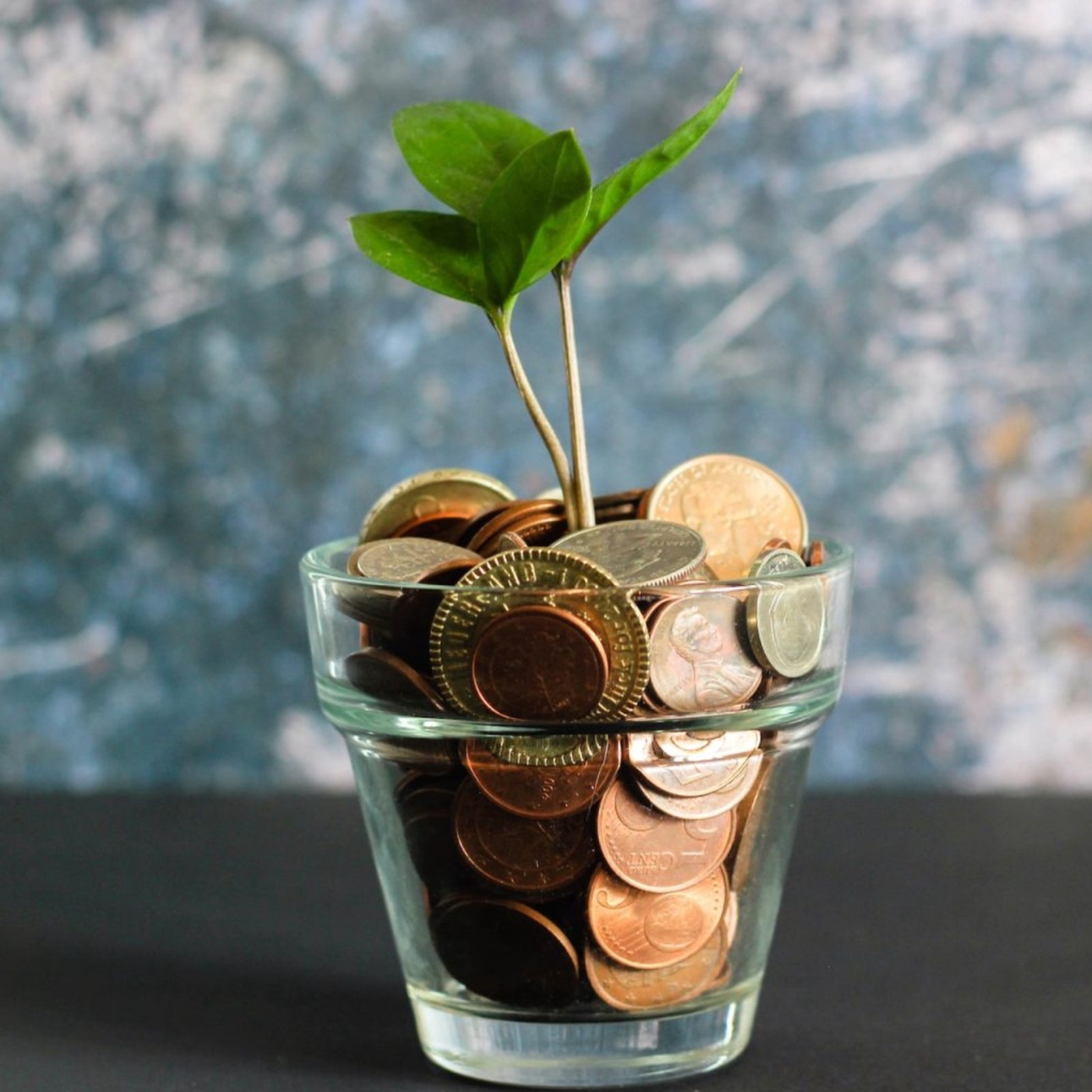 Finanz-und Tätigkeitsbericht