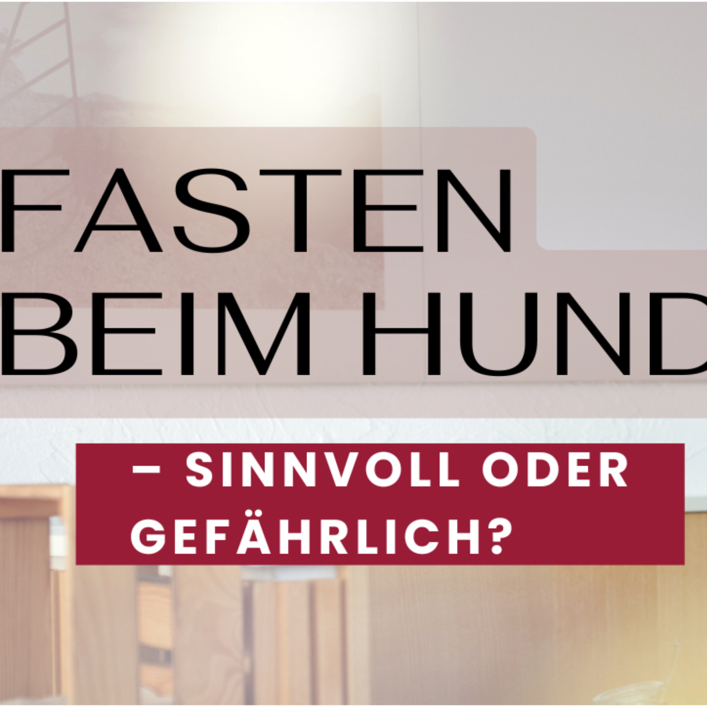 Fasten bei Hunden – sinnvoll oder gefährlich?