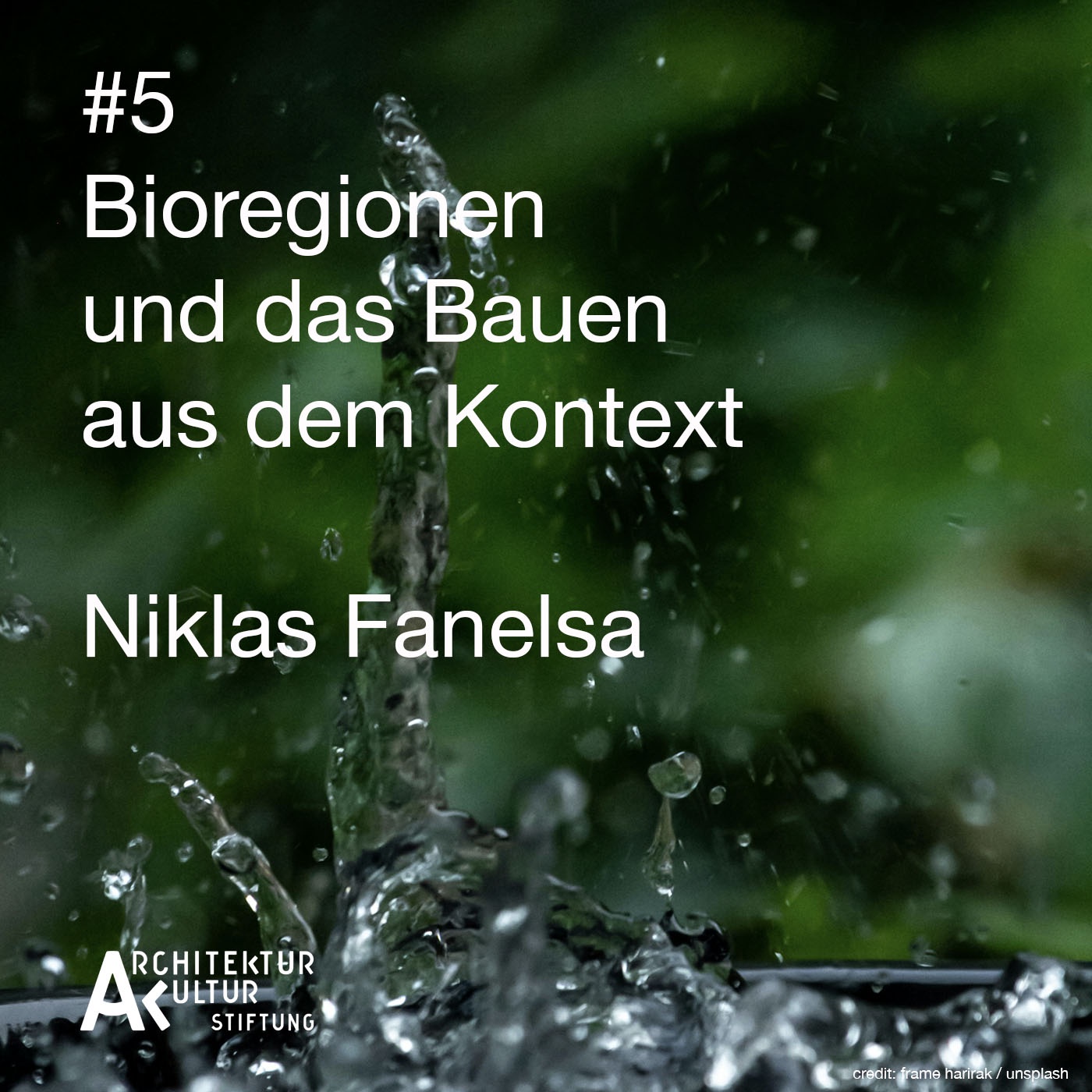 #5 Von der Traufe in den Regen