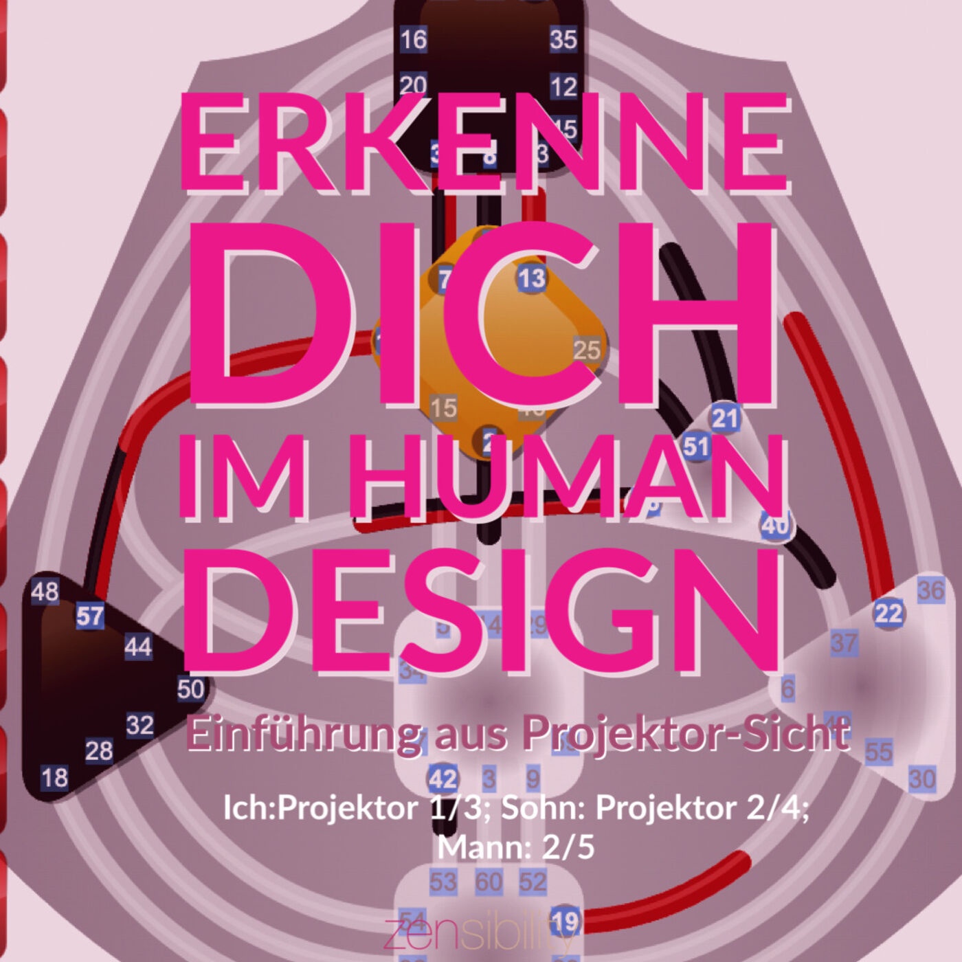 Erkenne dich mit Human Design - Einführung aus Projektor-Sicht