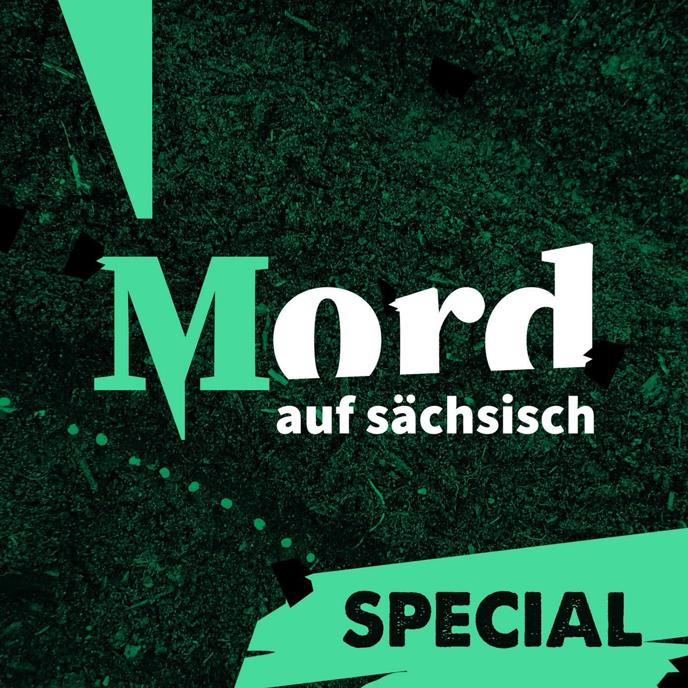 #10 Special: Die Toten im Keller – Mord im Radeburger „Hirsch“
