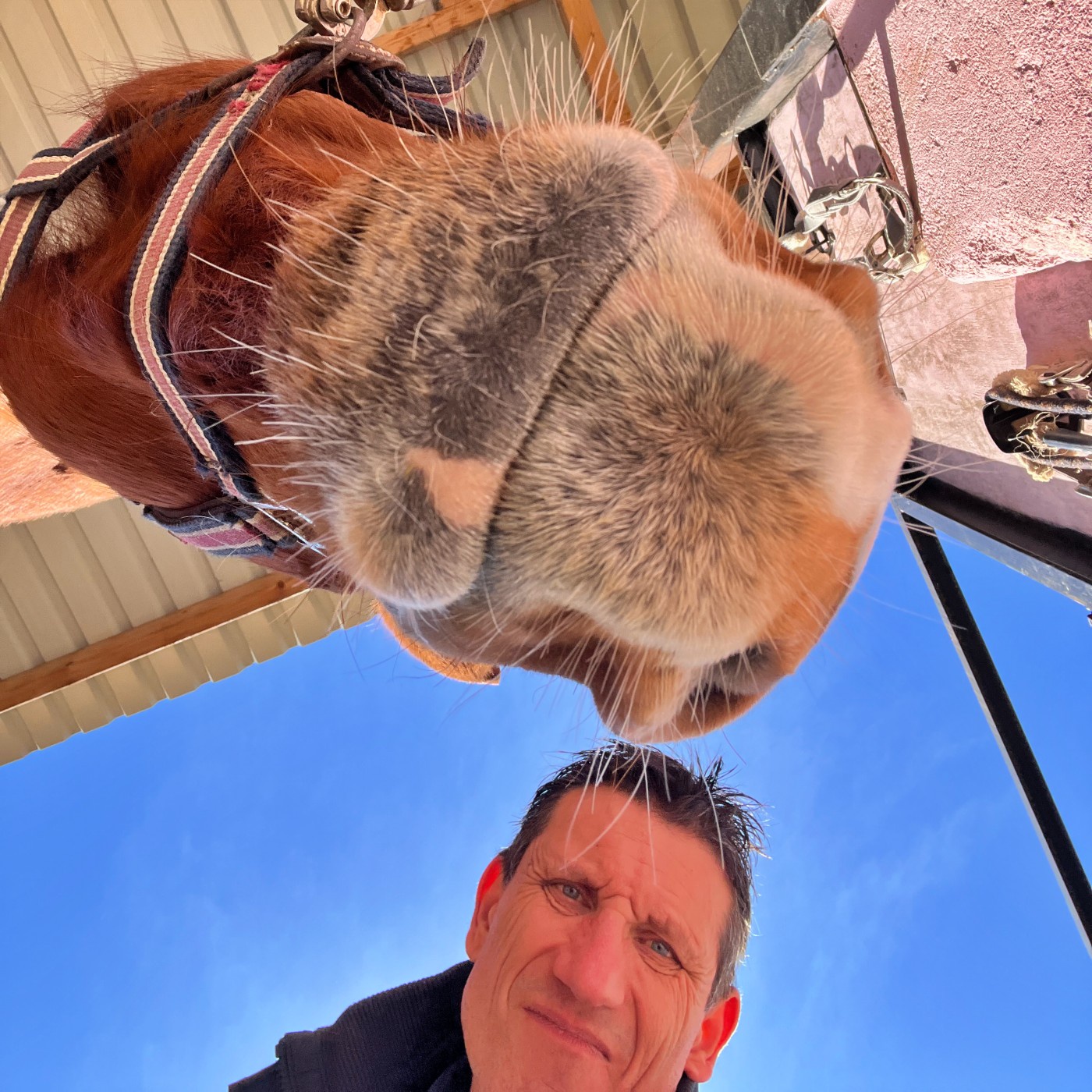 #418 Adrenalin 1000 - und trotzdem ruhig bleiben