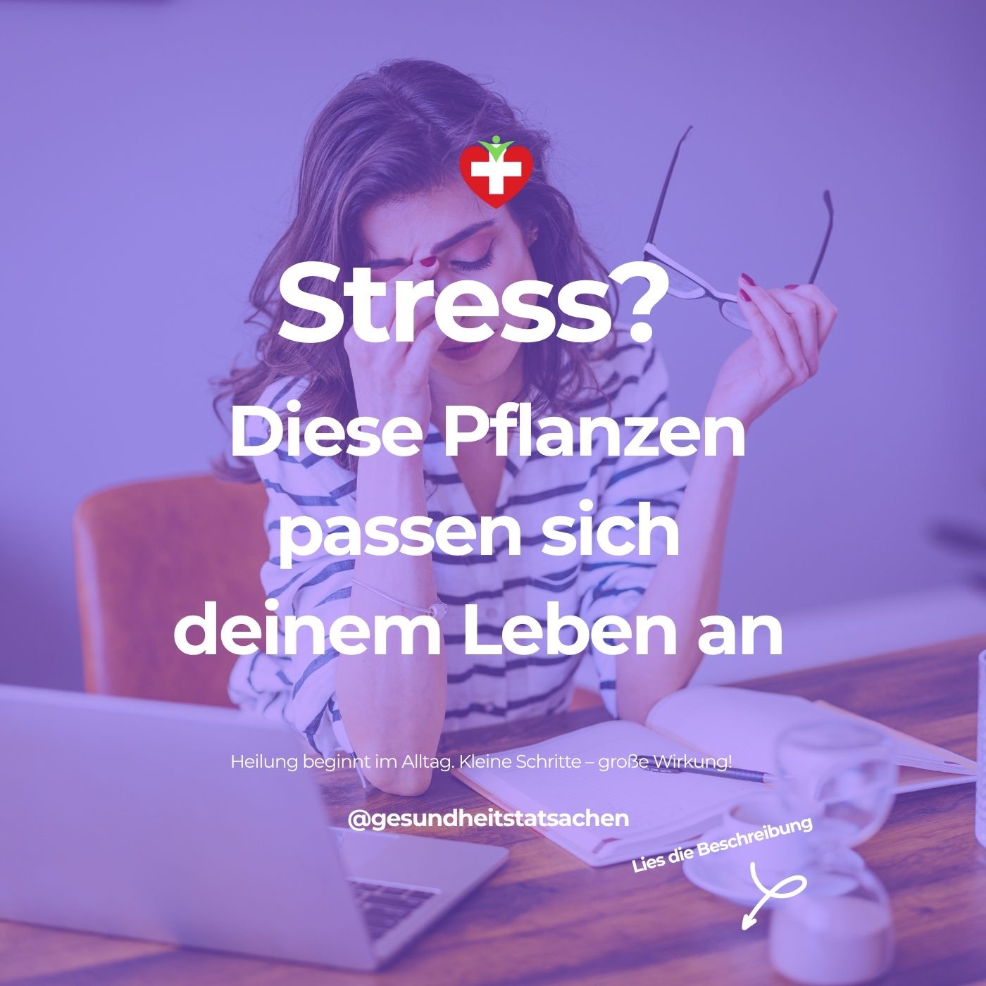 Pflanzen gegen Stress: Wie Adaptogene dein Nervensystem ins Gleichgewicht bringen